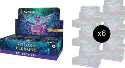 Wilds of Eldraine Set Booster Box Case