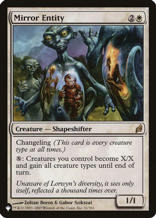Mirror Entity (LRW)