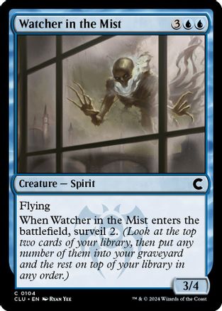 Watcher in the Mist
