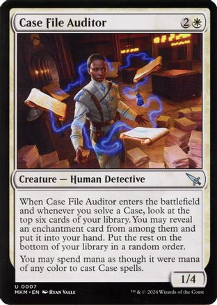 Case File Auditor (a)