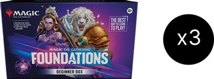 Foundations Beginner Box Case