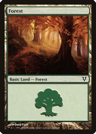 Forest (243)
