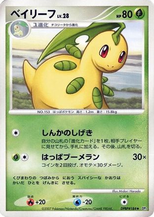 Bayleef