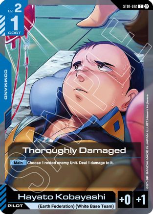 Thoroughly Damaged