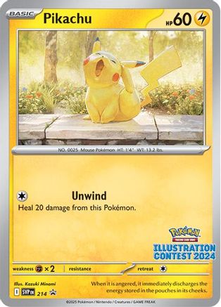 Pikachu 214 SVP Black Star Promos Pokémon card