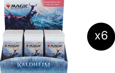 Kaldheim Set Booster Box Case