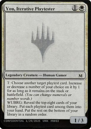 You, Iterative Playtester