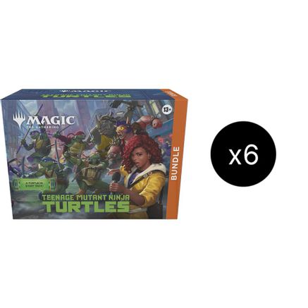 Teenage Mutant Ninja Turtles Bundle Case