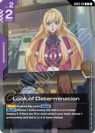 Look of Determination