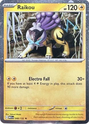 Miscellaneous Cards & Products Raikou - 048/132 (Cosmos Holo) #048