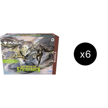 Secrets of Strixhaven Bundle Case