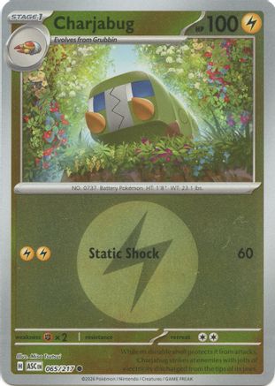 ME: Ascended Heroes Charjabug (Energy Symbol Pattern) #065