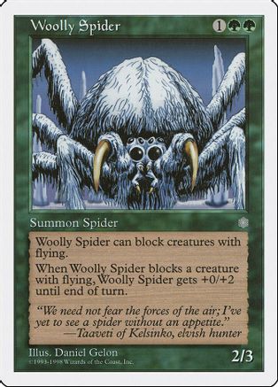 Woolly Spider