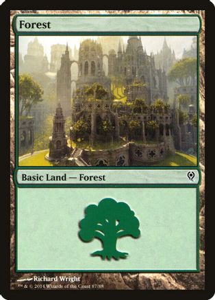 Forest (87)