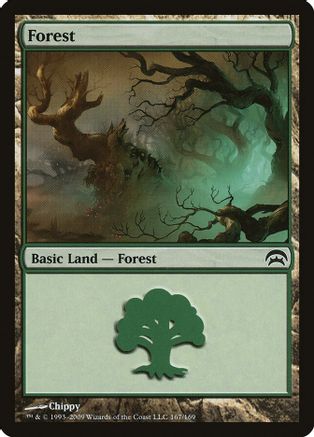 Forest (167)