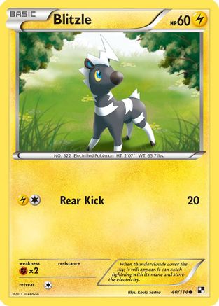 Black and White Blitzle (40) #40
