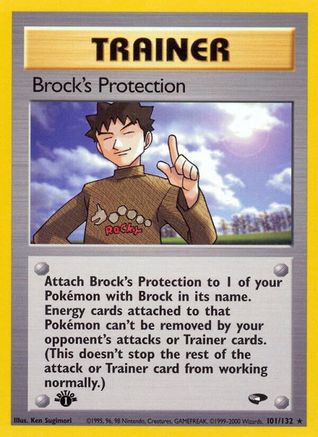 Gym Challenge Brock's Protection #101