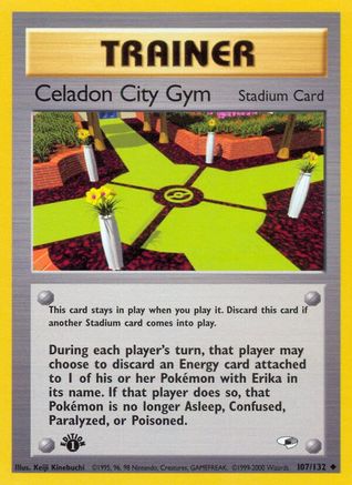 Gym Heroes Celadon City Gym #107