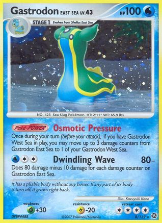 Secret Wonders Gastrodon East Sea #8