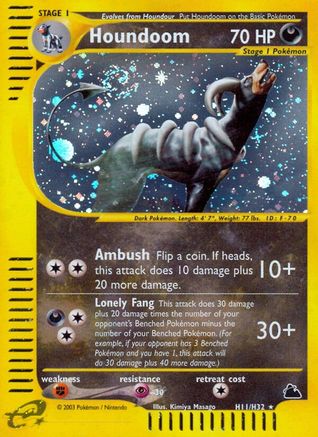 Skyridge Houndoom (H11) #H11