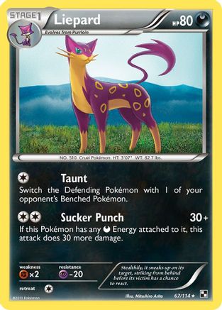 Black and White Liepard #67