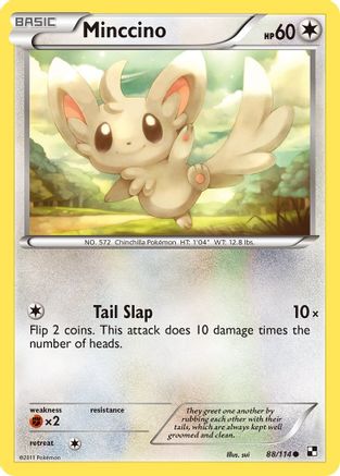 Black and White Minccino #88