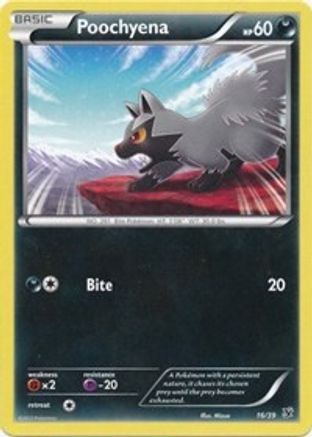 Kalos Starter Set Poochyena #16