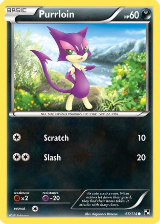 Black and White Purrloin #66