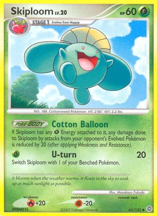 Secret Wonders Skiploom #65