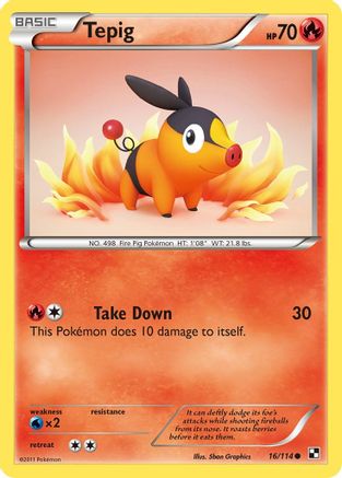 Black and White Tepig (16) #16
