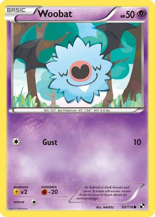 Black and White Woobat #50