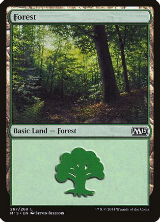 Forest (267)