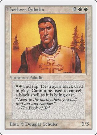 Northern Paladin