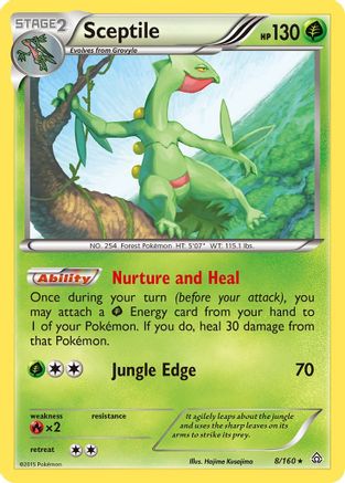 XY - Primal Clash Sceptile #8