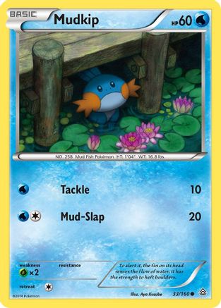 XY - Primal Clash Mudkip #33