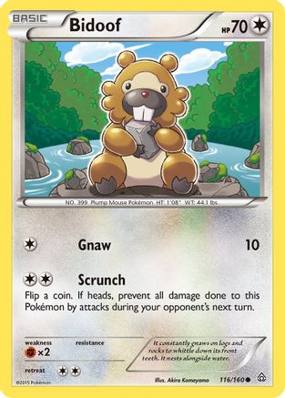 XY - Primal Clash Bidoof #116