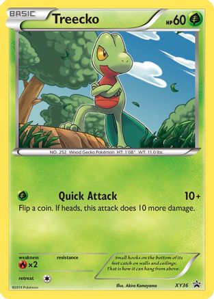 XY Promos Treecko #XY36