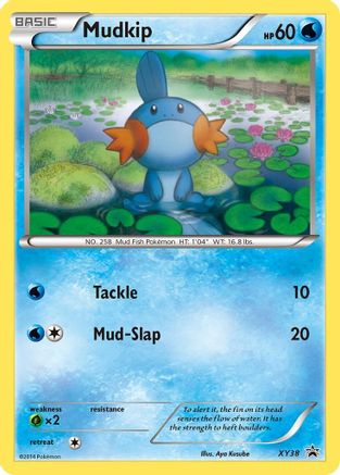 XY Promos Mudkip #XY38
