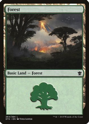 Forest (264)
