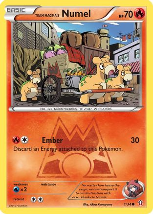 Double Crisis Team Magma's Numel #1