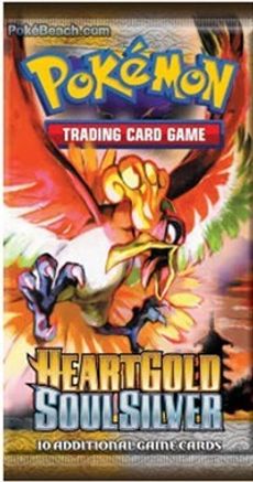 Pokemon Heartgold / Soulsilver Protector