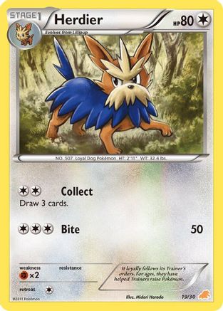 BW Trainer Kit: Excadrill & Zoroark Herdier #19