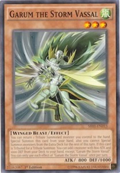 Garum the Storm Vassal