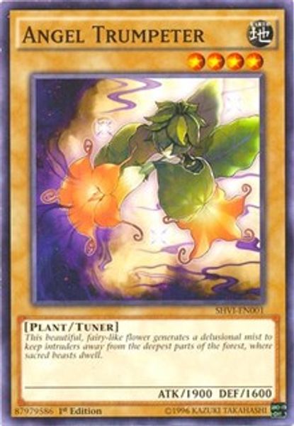 Angel Trumpeter