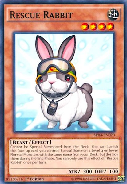 Rescue Rabbit