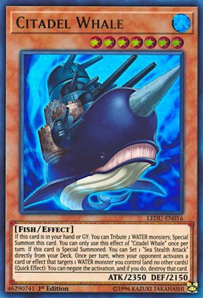 Citadel Whale