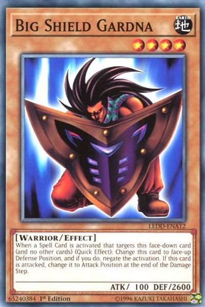 Big Shield Gardna