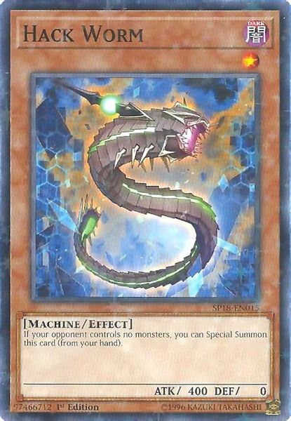 Hack Worm