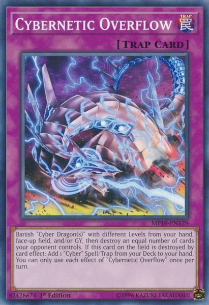 Cybernetic Overflow