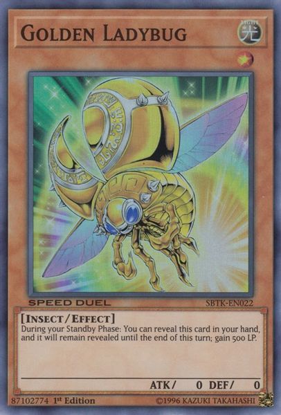 Golden Ladybug